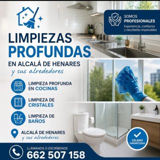 Limpieza profesional ..