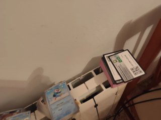 Lote de más de 800 cartas Pokémon + 150 códigos