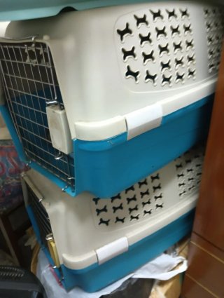 2 Transportines para Gatos y Perros