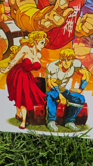 Final Fight Fan Art Poster A3