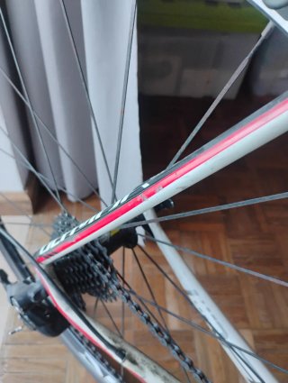 Bicicleta Olympia Carbono Estrada