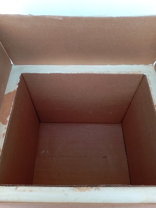 Caja isotérmica para transporte de frío