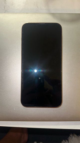 iPhone 13 Pro Max 256GB Oro
