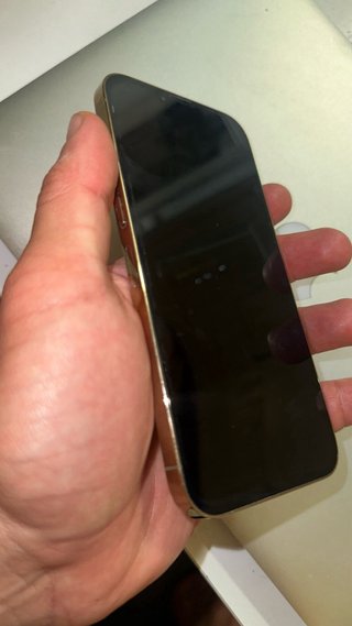 iPhone 13 Pro Max 256GB Oro