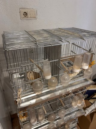 Lote 4 Jaulas Pájaros + Accesorios