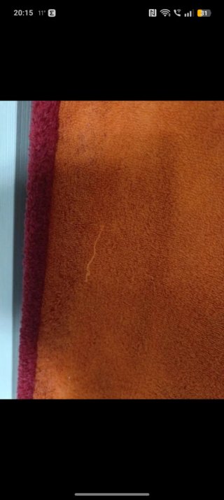 Asciugamano Hermes 145x90 cm