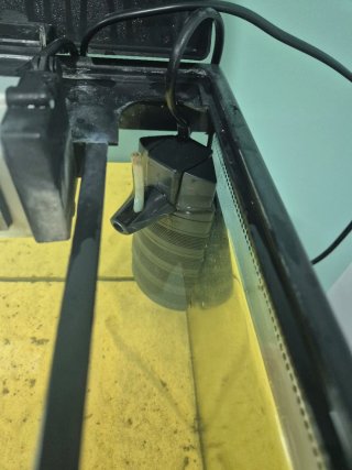 Acuario 100L con termocalentador y filtro