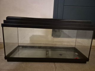 Acuario 100L con termocalentador y filtro