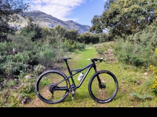 Bicicleta Cannondale Scalpel SI Carb 4