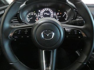 MAZDA CX-30 2.0 E-SKYACTIV G 122CV MHEV HOMURA AT