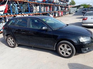 Bandeja tras audi 484372 a3 sportback (8p) 1.6 tdi