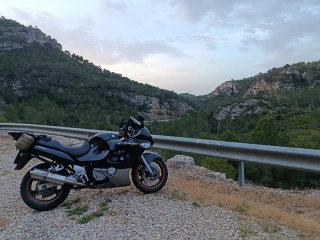 Suzuki GSX 750 F  A2