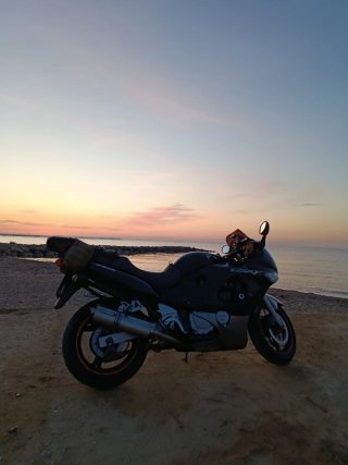 Suzuki GSX 750 F  A2