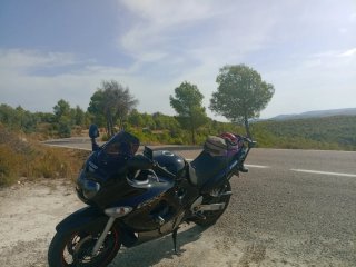 Suzuki GSX 750 F  A2