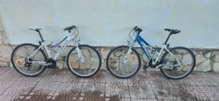 Lote 2 Bicicletas Orbea 26 Paradise