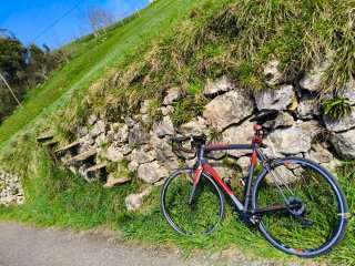 Bicicleta de carretera rydle