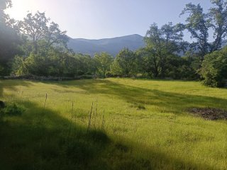 Finca rústica para colmenas en Gredos