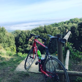 Bicicleta Cervélo S3 Carboni – Talla 58 – Shimano