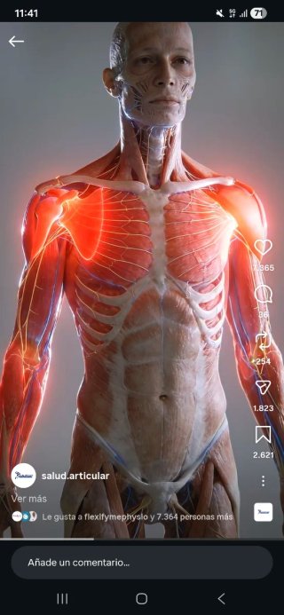 Sesión  de fisioterapia a domicilio  Valencia
