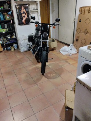 Harley  Sportster 883R 2007
