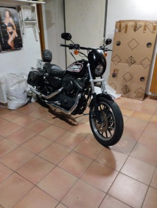 Harley  Sportster 883R 2007