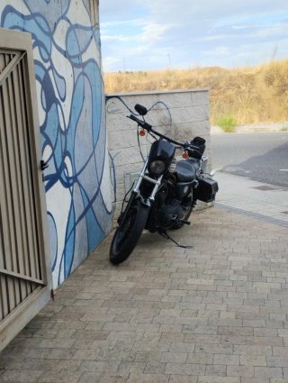 Harley  Sportster 883R 2007