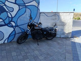 Harley  Sportster 883R 2007