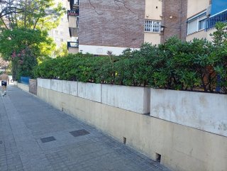 Jardineras de piedra con planta