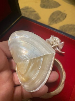 Lote Nácar Madre Perla