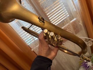 Fliscorno CarolBrass CFL6200 GSS