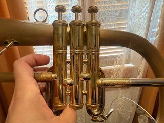 Fliscorno CarolBrass CFL6200 GSS