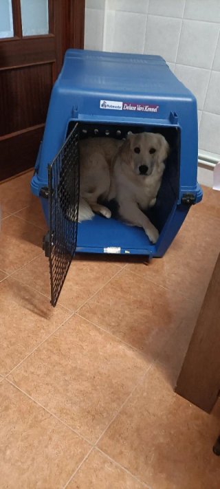 Transportín perro grande Petmate Vari Kennel
