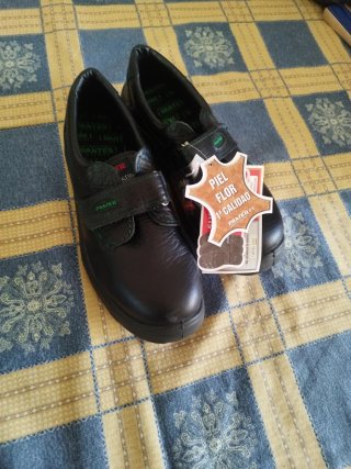 Zapatos de seguridad Panter
