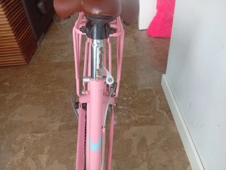 Bicicleta Urbana Rosa Mujer Rodado 26
