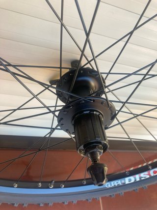 Rueda Trasera Gurpil Disc Bull 26