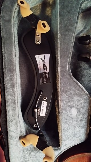 Violín Stentor 4/4