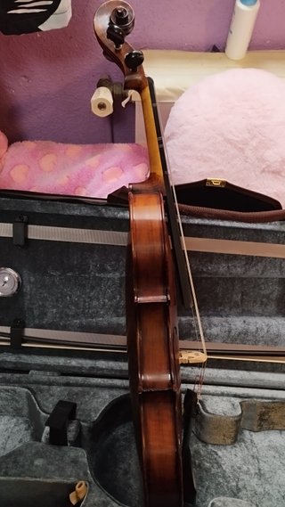 Violín Stentor 4/4