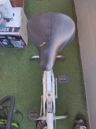 Bicicleta Estática Vintage