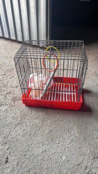 Jaula para pájaros con accesorios