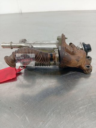 ENFRIADOR EGR Renault Kangoo II (F/KW0) (2008->2019)