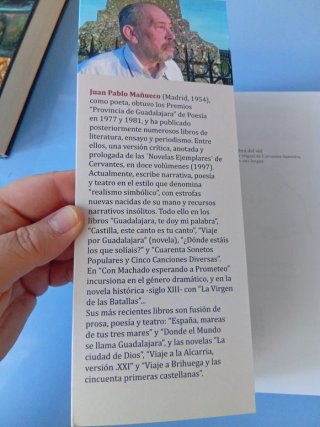 La sombra del sol. Historia del ingenioso escritor