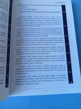 La sombra del sol. Historia del ingenioso escritor