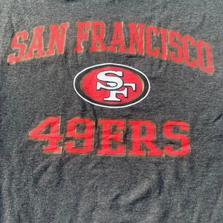 NFL San Francisco 49ers camiseta manga larga gris logo frontal