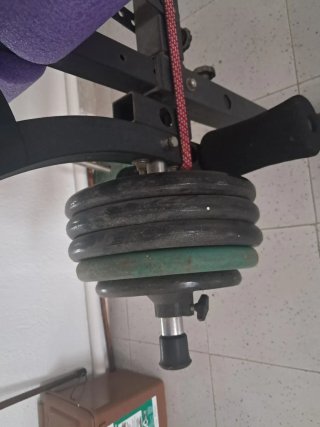 Banco de Gimnasio