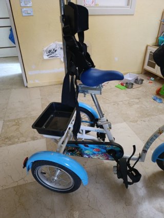 Bicicleta adaptada niños 2-8 años