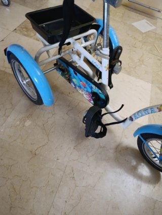 Bicicleta adaptada niños 2-8 años