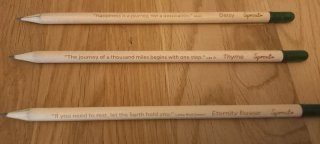 Matite piantabili con frasi motivazionali
