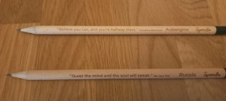 Matite piantabili con frasi motivazionali