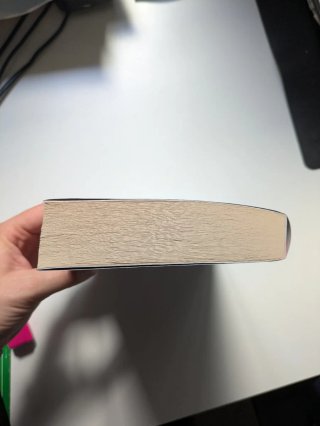 Libro La Novia Gitana