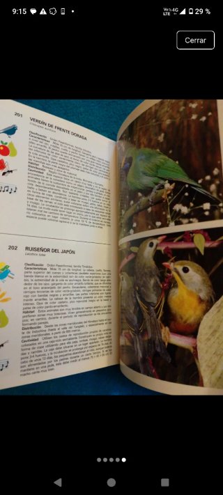 Guía De Aves De Jaula